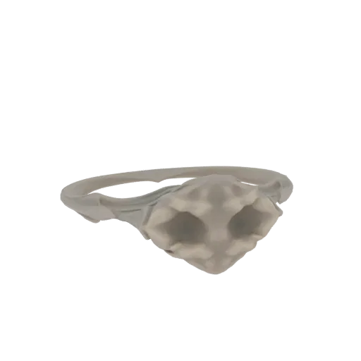 3D model of an abstract organic ring with a sculpted, flowing band and a central crystalline-like form, presented on a white