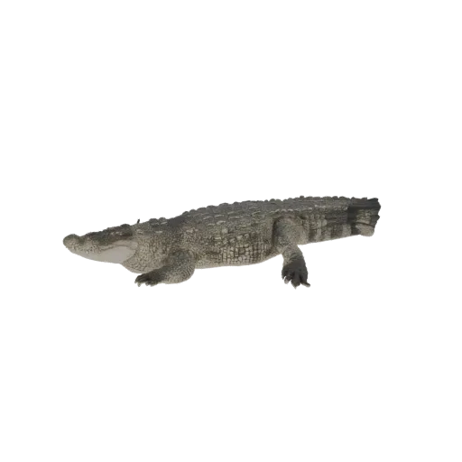 A realistic 3D model of a crocodile, shown from the side with its mouth slightly open and legs extended.