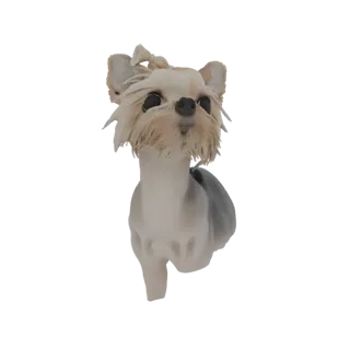 3D model of a cute Yorkshire Terrier dog wearing a bow, looking upwards with an attentive expression.
