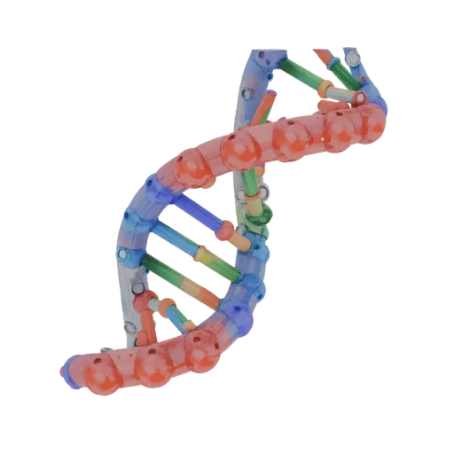 Crystal DNA Helix High Poly 3D model, close-up studio render, showing colored spheres, molecule layout.