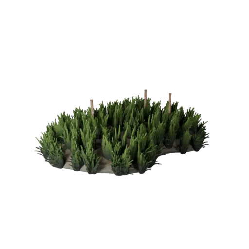 Tall Grass Meadow Patch Unity 3D model, isometric viewport view, showing leaf clusters, layered vegetation clusters.