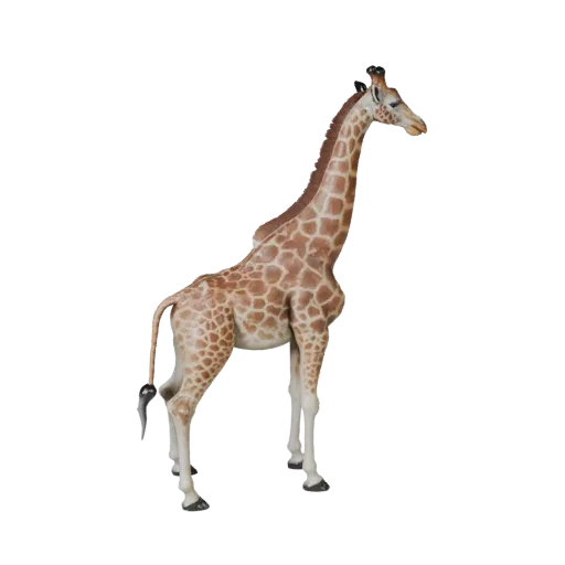 Modèle 3D de girafe, rendu de la faune de profil, atout animalier prêt pour Blender avec anatomie claire, masse corporelle na