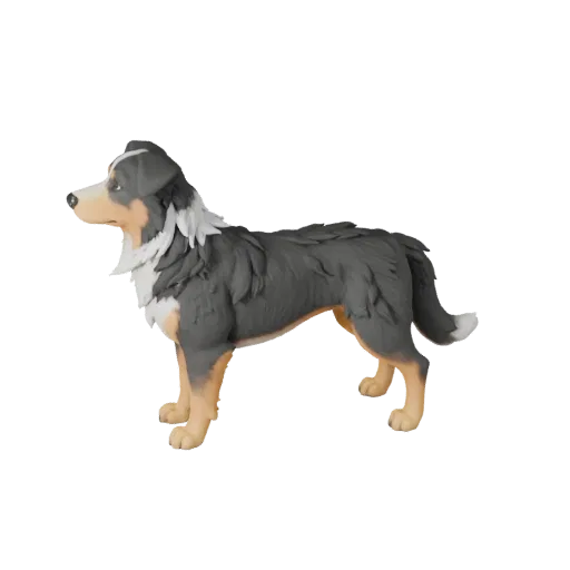 Hochpoly-Australian-Shepherd-Hund-STL-Modell, isometrische Anzeige, druckfertige Tierfigur mit Beinarbeit, Schultervolumen, P