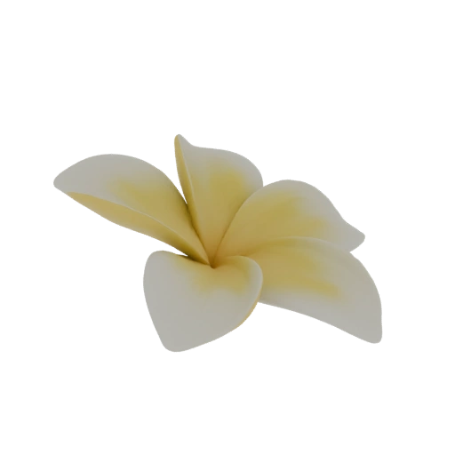 Plumeria Flower