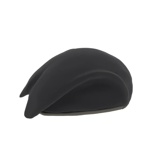 Black Beret