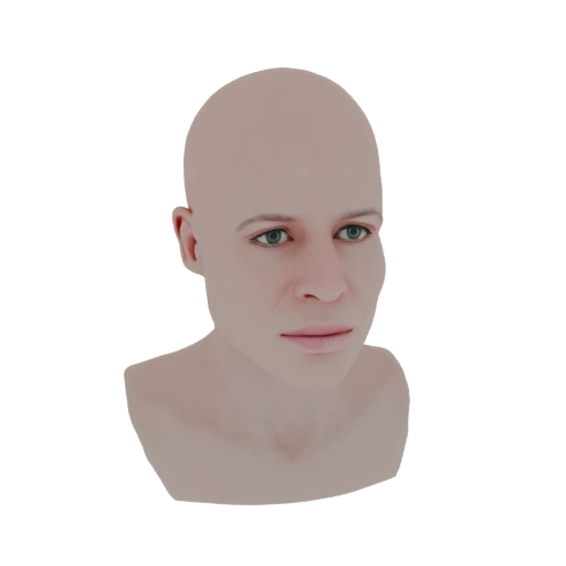 Sarah Connor Bust 3D Model