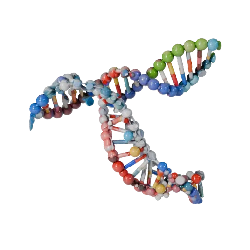 Organic DNA Helix Stylized 3D model, stylized isometric render, showing colored spheres, molecule layout.