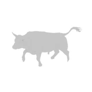 3D model of a grey, charging bull with lowered head and tense muscles, depicted in a dynamic, powerful stance.