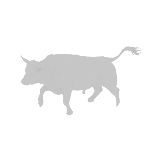 3D model of a grey, charging bull with lowered head and tense muscles, depicted in a dynamic, powerful stance.