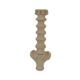 Modelo 3D de vértebras lombares e sacro humanos, visto de frente, contra um fundo branco.