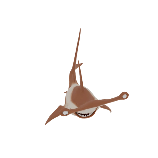 Hammerhead Shark 3D Model