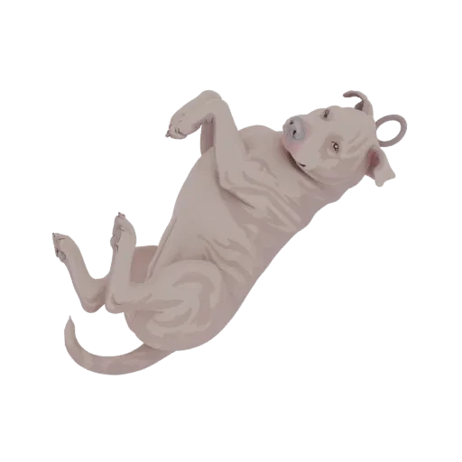 3D model of a light-colored pitbull dog lying on its back with paws in the air, looking playful.