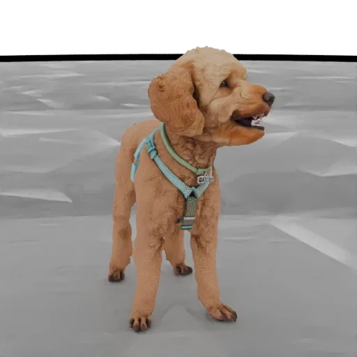 A 3D model of a Golden Doodle dog with light brown fur, wearing a light blue harness, standing on a grey surface.