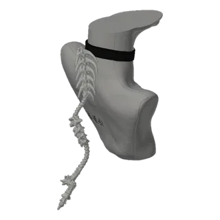 Modèle 3D d'un buste gris avec colonne vertébrale détaillée et collier noir, sur fond noir.