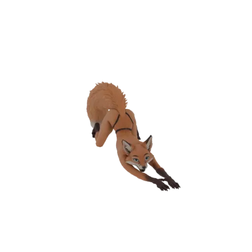 3D model of an anthropomorphic fox in a deep yoga stretch pose, with reddish-orange fur and blue eyes.