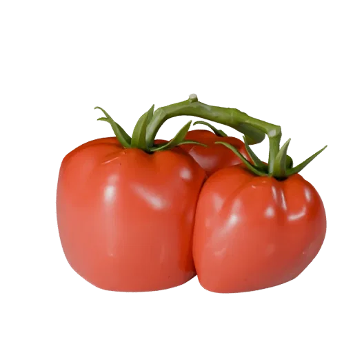 Garden Tomato Cluster High Poly 3D model, close-up studio render, showing leaf veins, clear vegetable silhouettes.