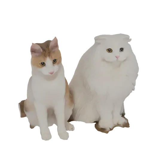 A 3D render of two cats sitting side-by-side: a calico cat and a fluffy white cat with blue and yellow eyes.