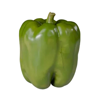 Organic Bell Pepper High Poly 3D model, close-up studio render, showing leaf veins, clear vegetable silhouettes.