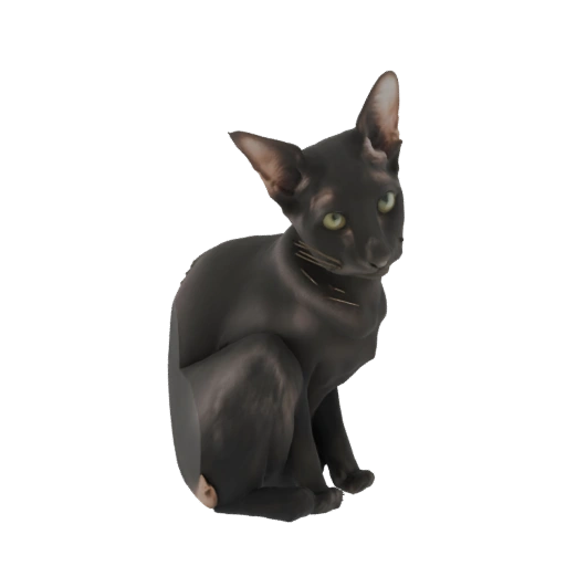 Black Oriental Shorthair Cat 3D Model