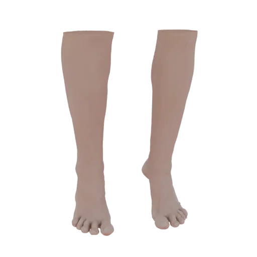 A 3D render of a pair of realistic human legs, viewed from the front, with detailed skin texture and toes.