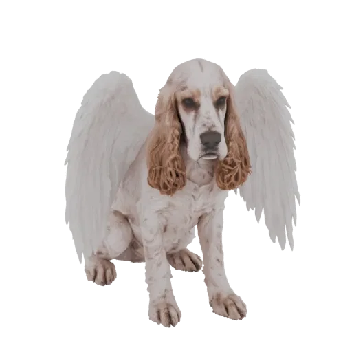 3D model of a white and brown Cocker Spaniel dog with large white angel wings, sitting down.