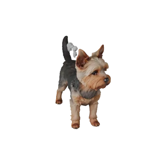 Modelo 3D realista de Cão Yorkshire Terrier, render de vida selvagem em vista lateral, asset de animal pronto para animação c