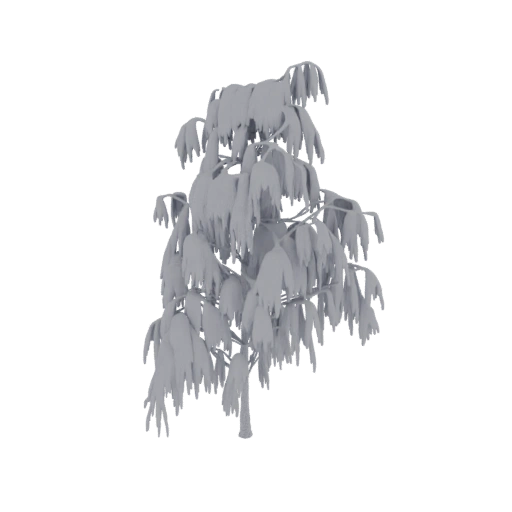 Weeping Willow Tree 3D Model