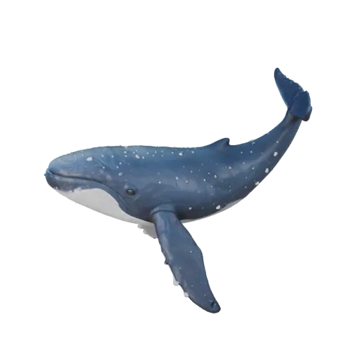 Modelo 3D de Ballena Jorobada de Dibujos Animados, render de vida silvestre en vista lateral, activo de animal estilizado con