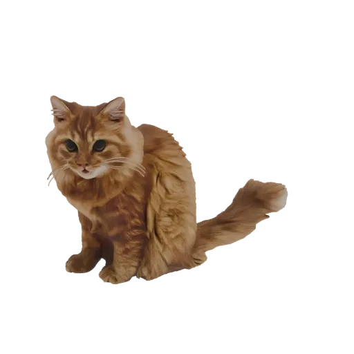 A 3D model of a fluffy orange tabby cat sitting upright with its tail curled around its body, looking towards the viewer.