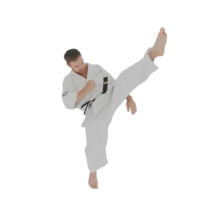 3D model of a male karateka in a white gi performing a high kick, captured in mid-air with one leg extended.