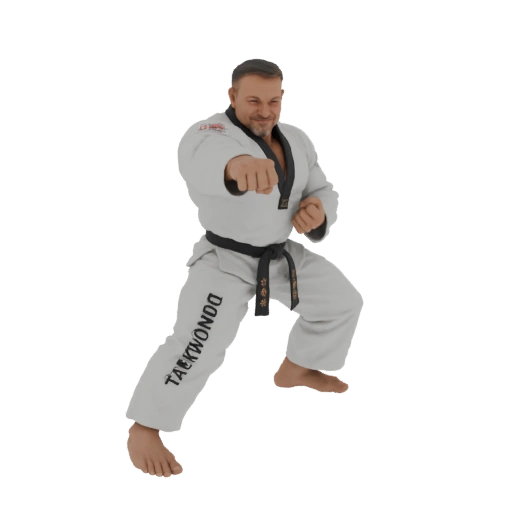 Taekwondo Fighter 3D Model