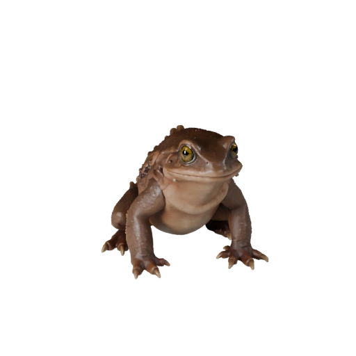 Modello 3D Salamandra Realistica - Asset PBR Rigged per Giochi