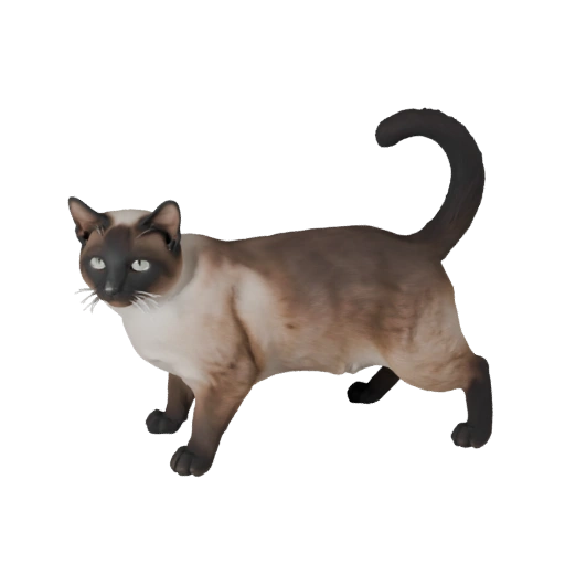 Modelo 3D Gato Siamés para Unity - Asset Listo para Juego, FBX | PBR