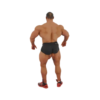 3D model of a muscular bodybuilder seen from the back, showcasing defined muscles and athletic build.