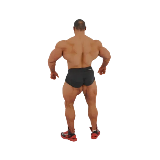 3D model of a muscular bodybuilder seen from the back, showcasing defined muscles and athletic build.