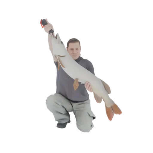 3D model of a fisherman kneeling and holding a large pike fish, smiling proudly.
