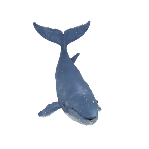 A 3D render of a realistic blue whale with its mouth slightly open and tail raised, against a white background.