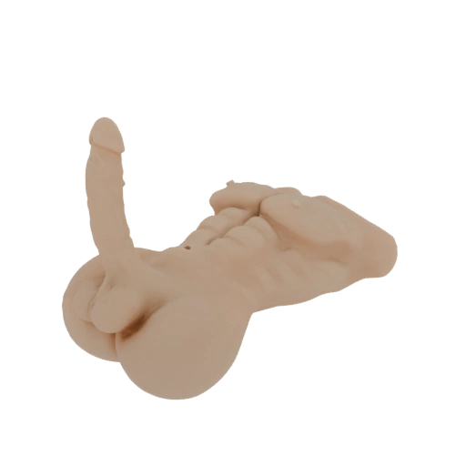 Realistic Male Genitalia 3D Model