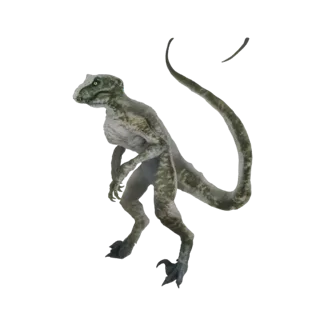 A 3D model of a green Velociraptor dinosaur with sharp claws and a long tail, posed dynamically against a black background.