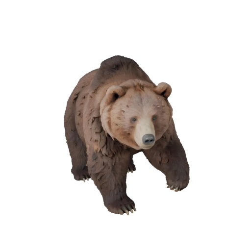 Modello 3D Orso Bruno per Blender - Asset PBR con Texture | PBR