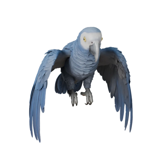 Pappagallo Cenerino 3D Model per Unity - Asset Pronto per il Gioco, FBX