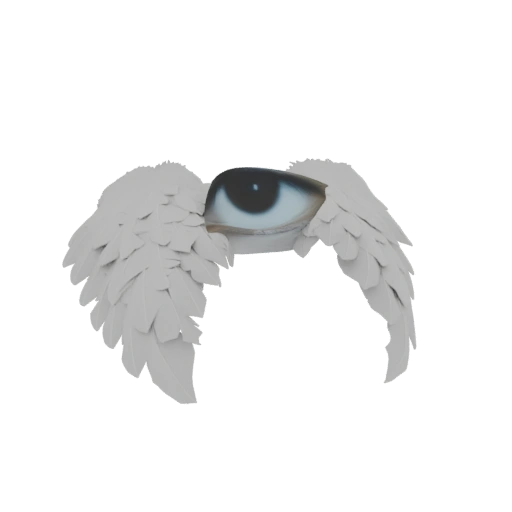 Angel Eye Wings