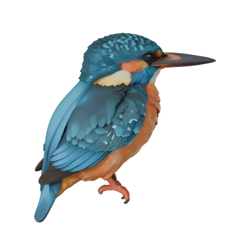 Modelo 3D de Kingfisher, vista lateral de cámara de gameplay, asset de animal listo para Unity con perfil de pico, plumaje en