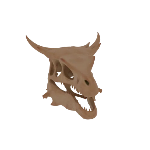 A 3D render of a Styracosaurus dinosaur skull, showcasing its bony frill and prominent nasal horn against a white background.