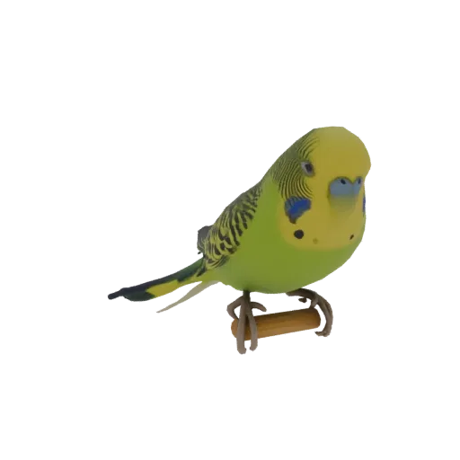 A realistic 3D model of a green and yellow budgerigar bird perched on a wooden dowel, isolated on a white background.