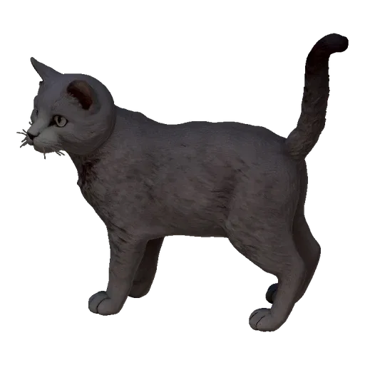 Realistic 3D model of a grey cat standing on a surface, with an attentive gaze.