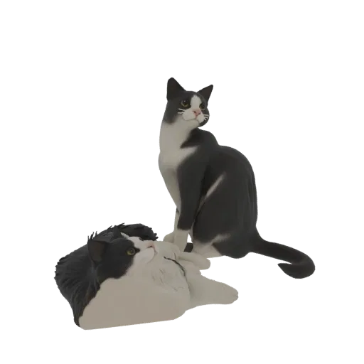 Ein 3D-Render von zwei Tuxedo-Katzen; eine sitzt aufmerksam und die andere liegt verspielt auf dem Rücken.
