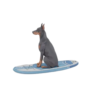 3D model of a Doberman Pinscher dog sitting on a blue and white surfboard, looking to the left.