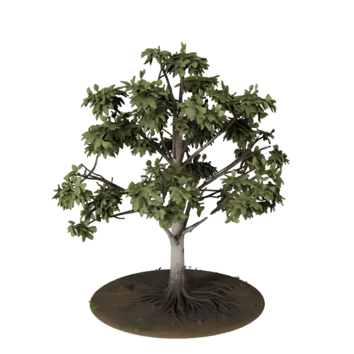 Birch Grove Set Realistic 3D model, three-quarter environment render, showing leaf clusters, terrain detail.