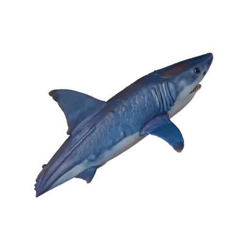 Shark 3D Model for Unity - Game Ready Asset, FBX | Royalty-Free